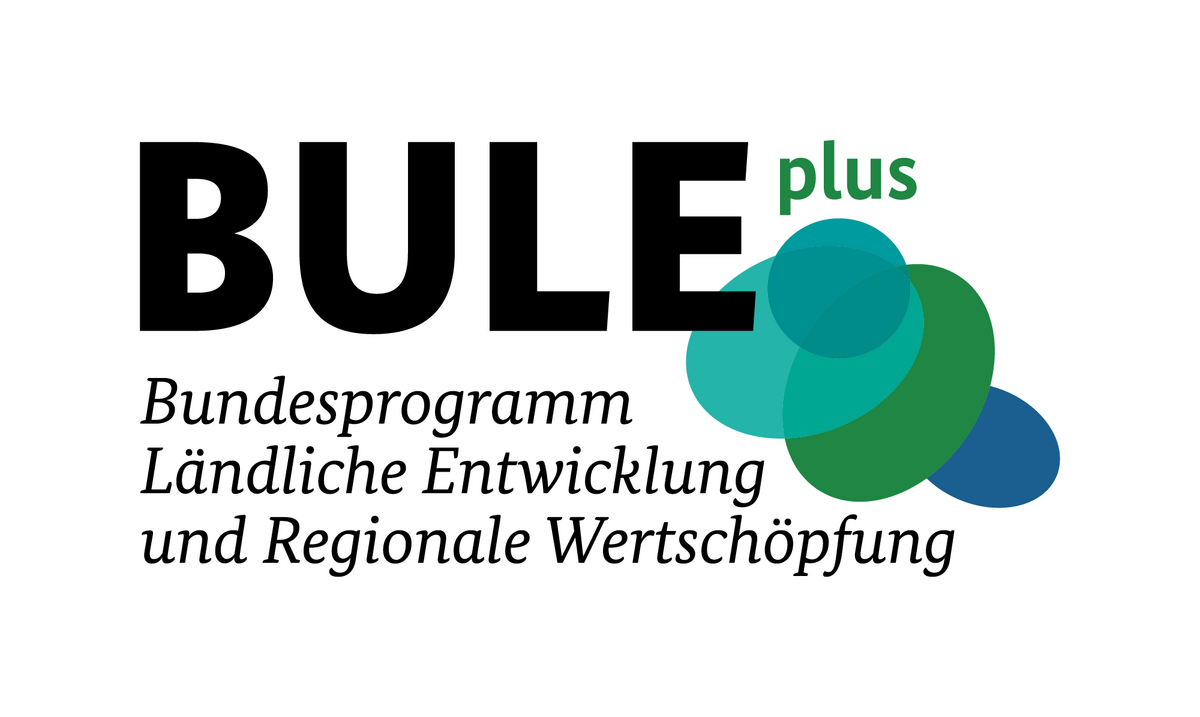 Logo BLUE Plus