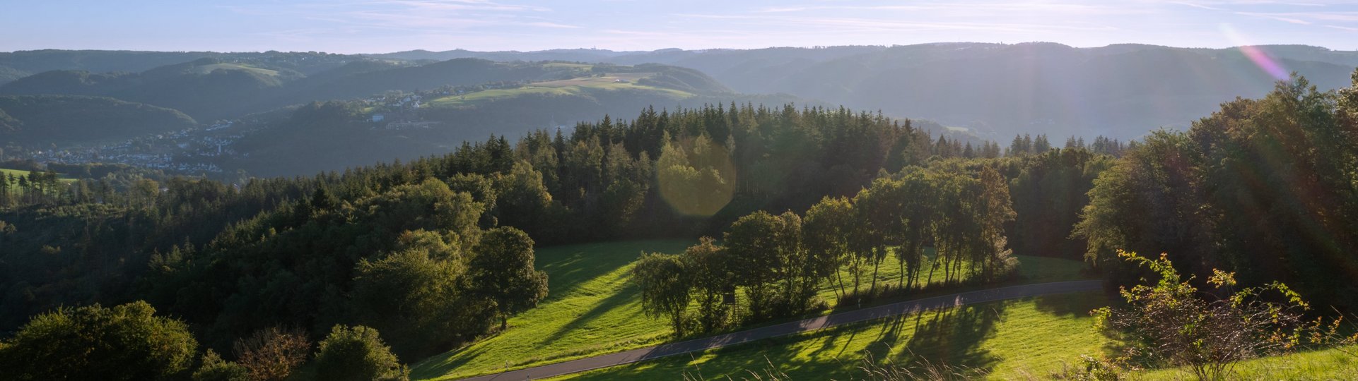 Blick auf Waldbreitbach, grüne leicht bergige Wiese und Wald im Hintergrund